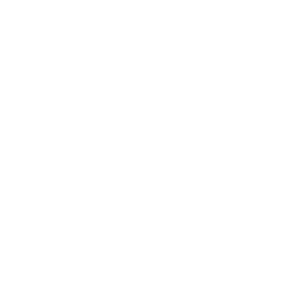 South Town Mall